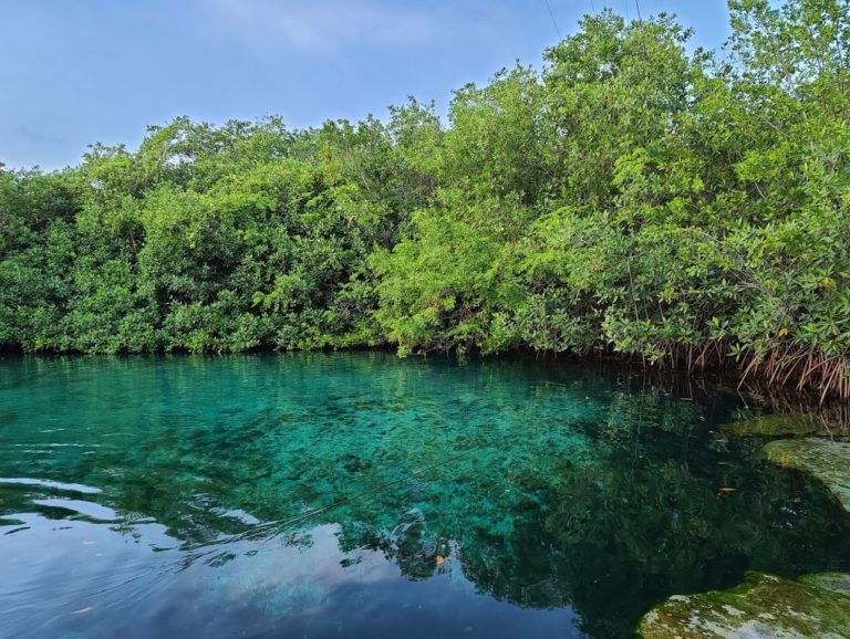 Cenotes near Tulum | Top 7 | Cancun Airport Transportation Blog