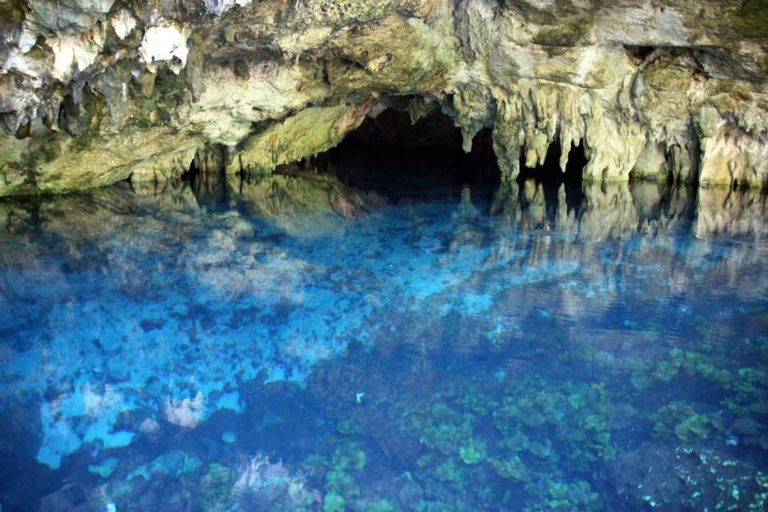 Cenotes near Tulum | Top 7 | Cancun Airport Transportation Blog