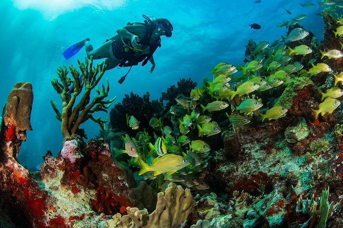 cancun scuba