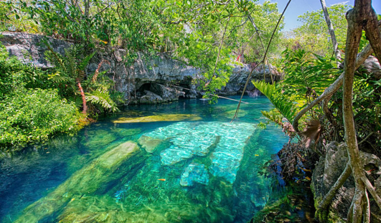 Playa del Carmen nearest cenotes: Top 6 | Blog post